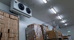 Woodlands Avenue 6 (D25), Factory #473638341